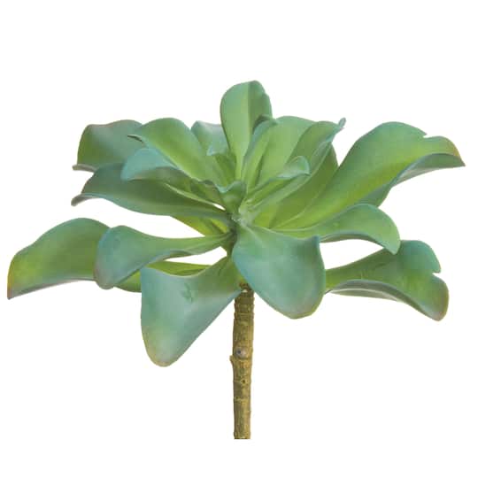 Green Kalanchoe Pick